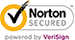 security logo