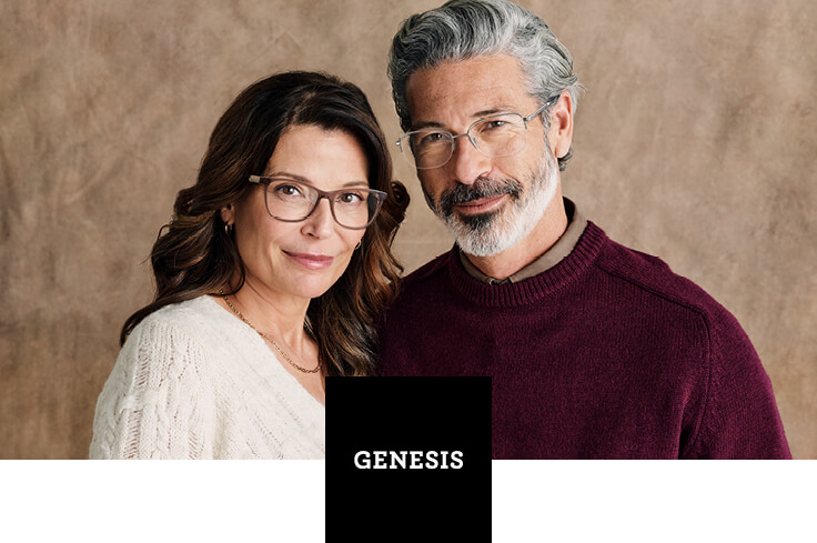 片翼のジシアVisio ORIGINAL Vizo - HILX® Official Store